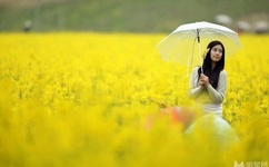 国产精品1卡二卡三卡四卡乱码